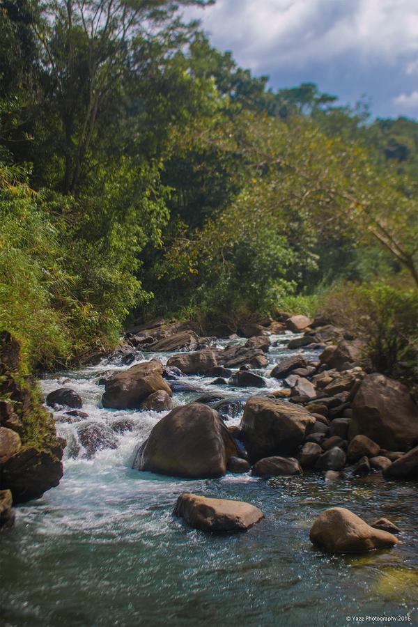 Jungle River Ginigathena 外观 照片