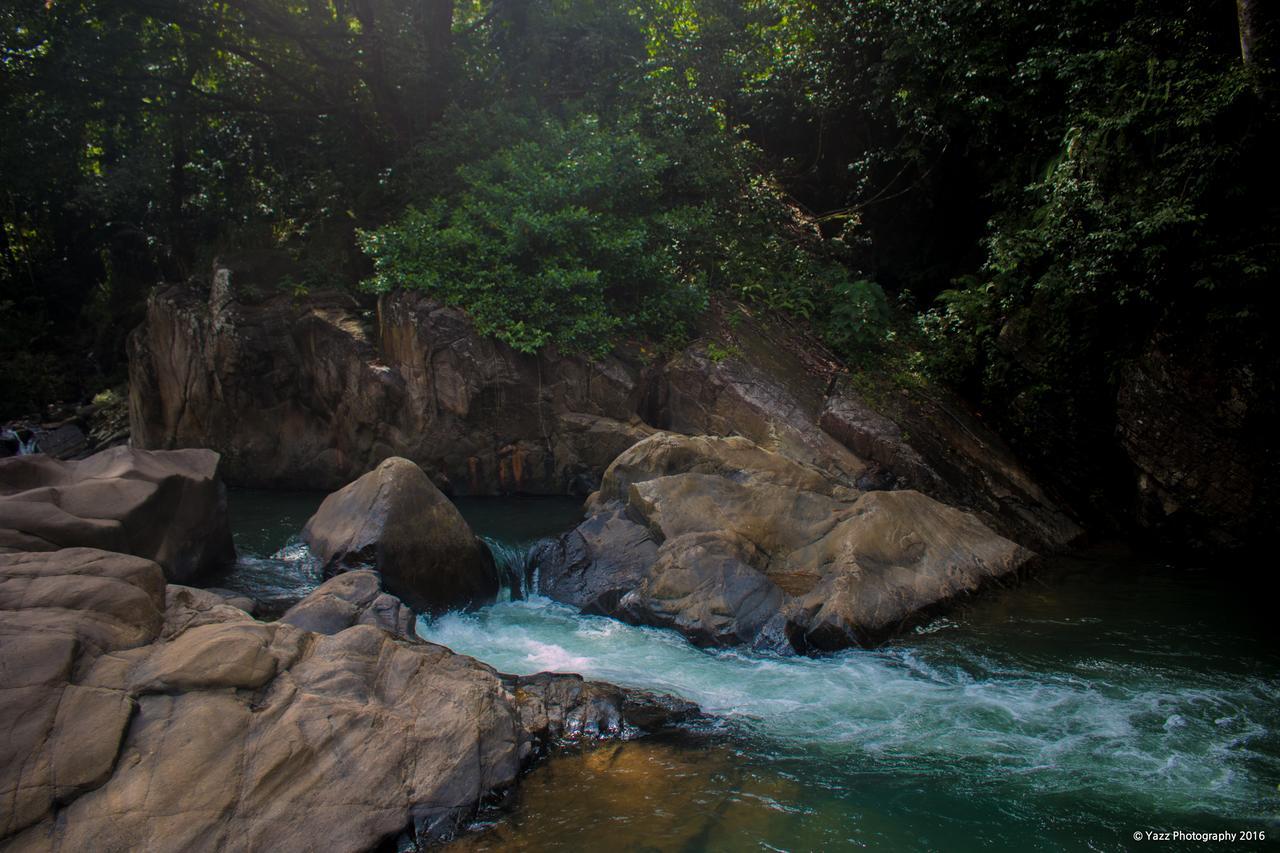 Jungle River Ginigathena 外观 照片