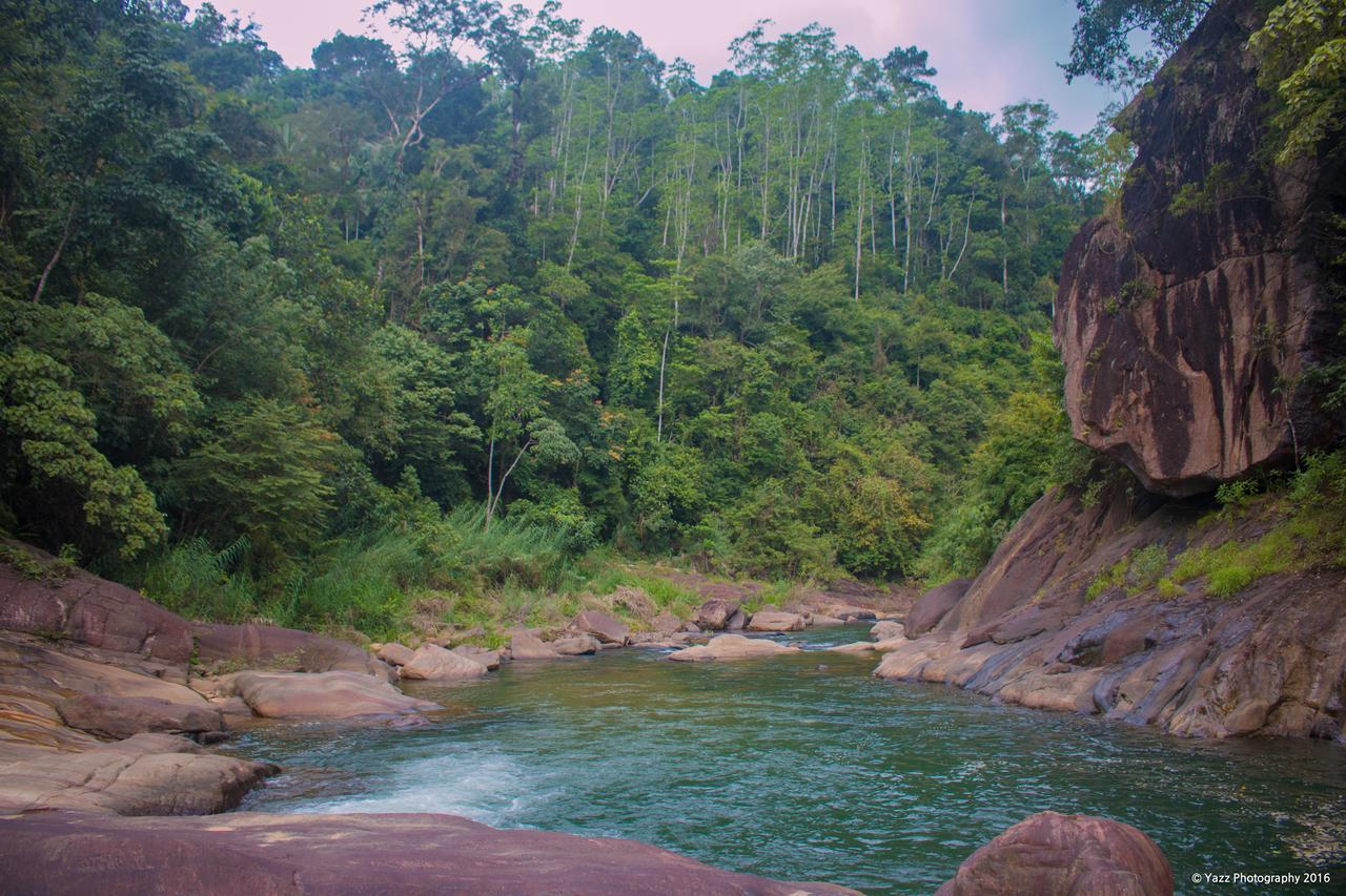 Jungle River Ginigathena 外观 照片